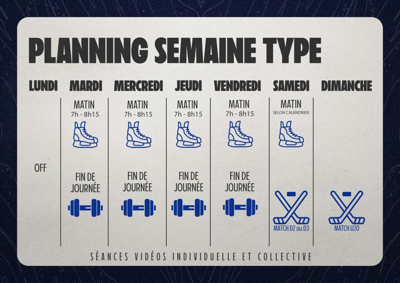 Plaquette CFCP Rapaces Gap_Page_09