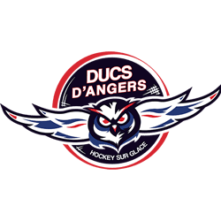 Logo Ducs Angers